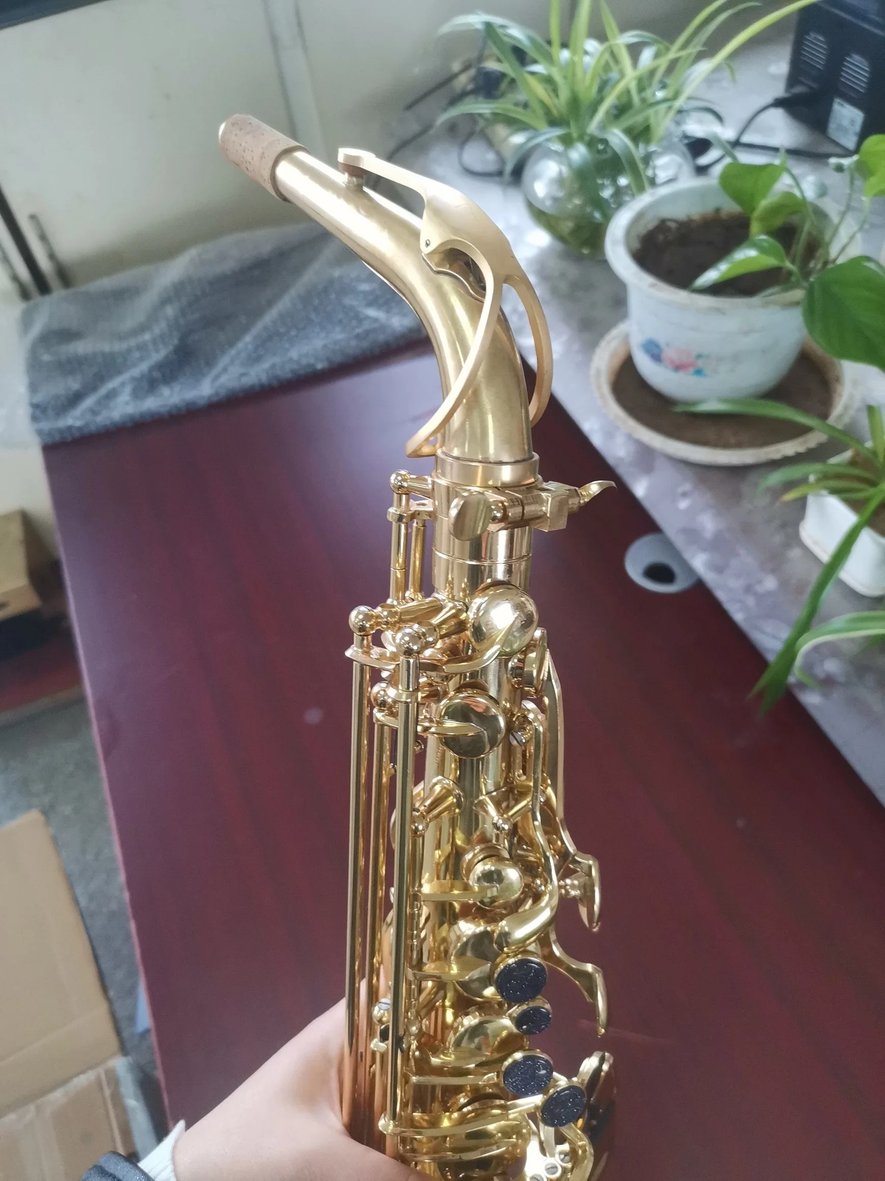 New Arrival Alto Sax, Made in China, Wholesale/Supplier Alto Saxophone