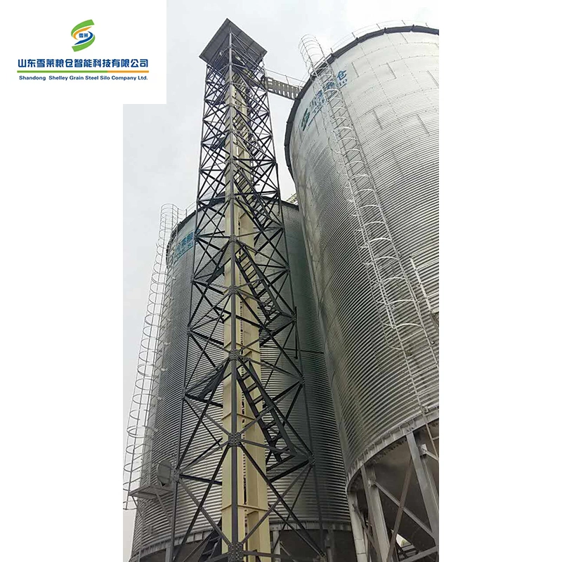 Hot Sale Industry Bucket Elevator Price for Bulk Material/Rice Mail/Grain/Corn/Concrete