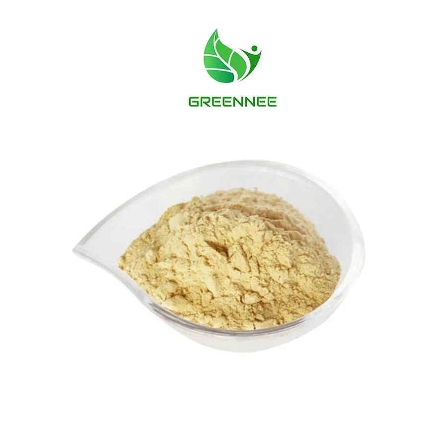 100% Natural China Hops Flower Raw Powder Hops Powder