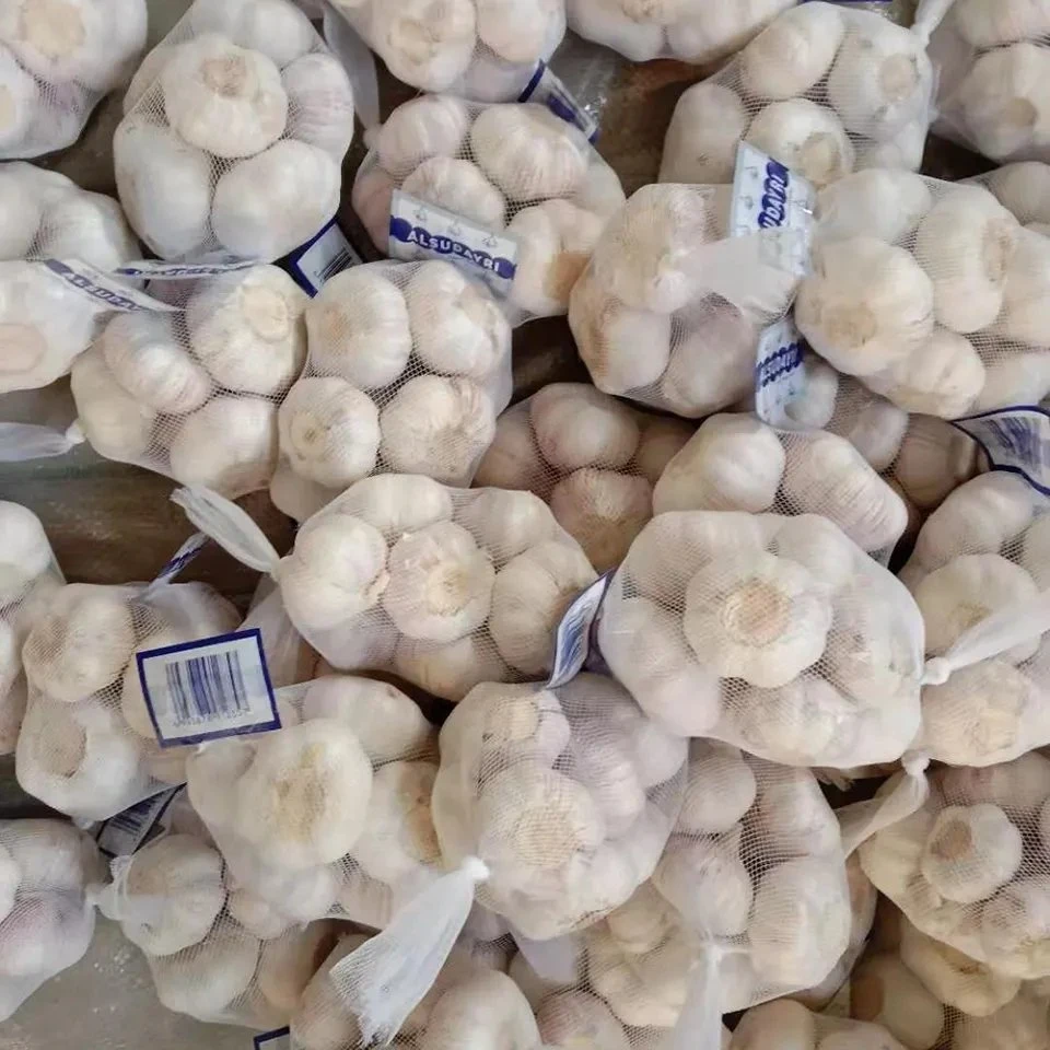 Certified Garlic Fresh New Crop Supplied by Garlic Exporters China for Europe Garlic Market