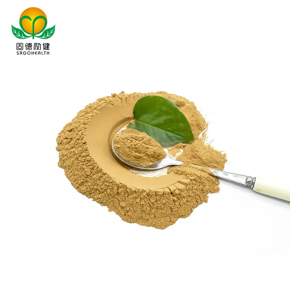 OEM GMP Amazon Hot Selling Lower Price Hericium Erinaceus Extract Powder