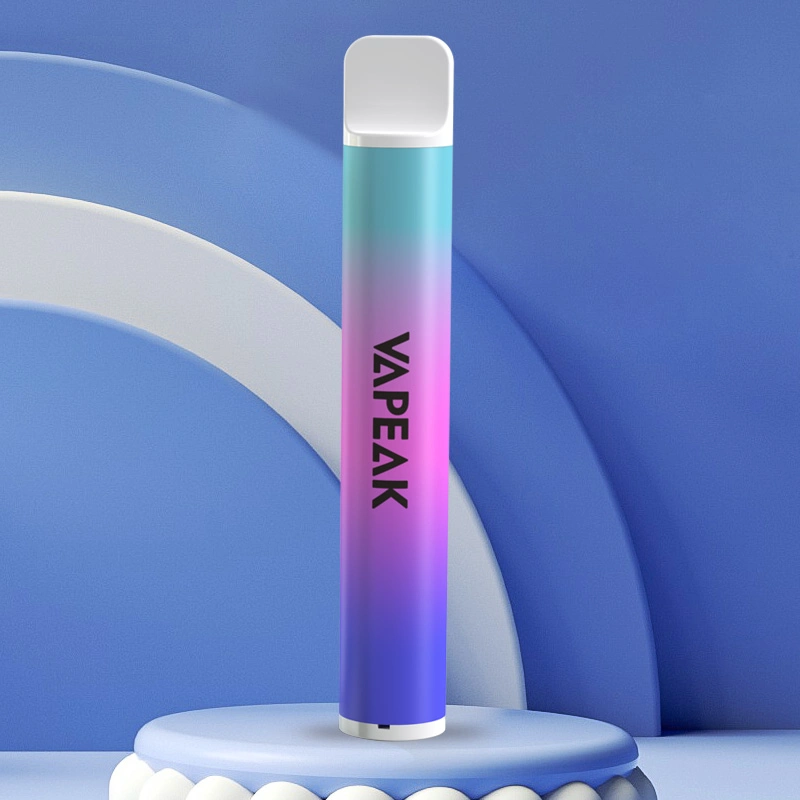 2022 Nouveau maillage Vapeak Bar 600 bouffées Ecig avec la DPT Apporvel jetables