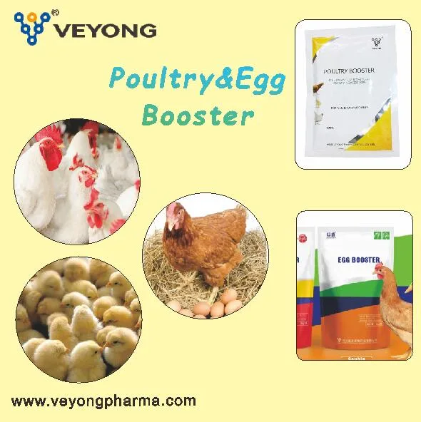 Multivitamin Soluble Powder Poultry Stress Pack Broiler Booster Soluble Powder for Chicken Wholesale/Supplier From Hebei Veyong