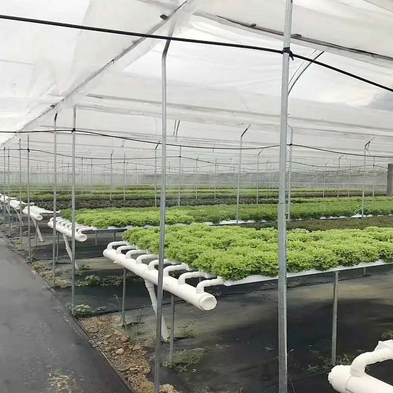 Nft Hydroponic Channel Lettuce Vegetable Growing Tube Pipe 100*50 mm Aquaculture Equipment Water-Saving Fertilizer-Saving