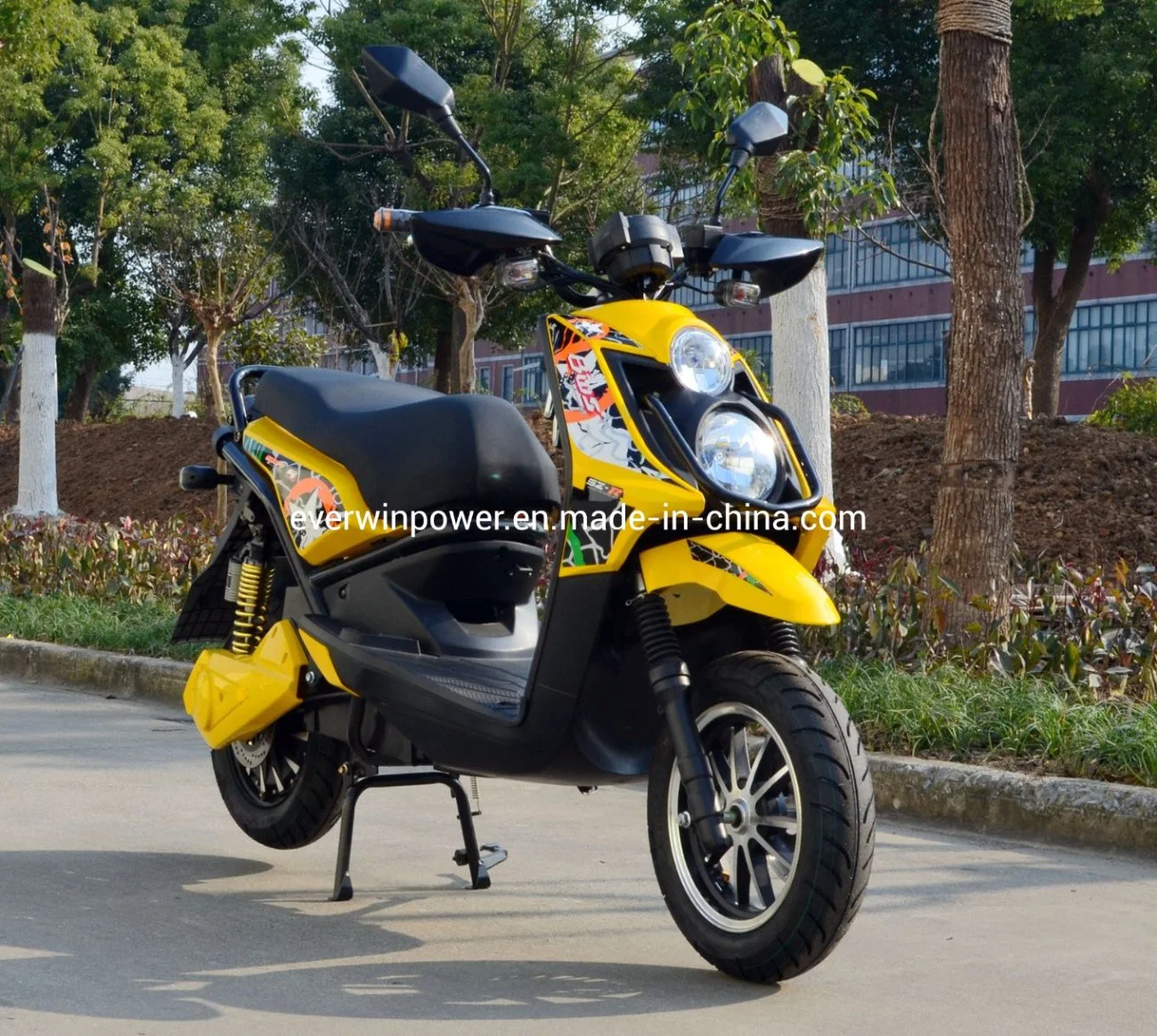 2000W Motor Electric Scooter with Good Performance Big Power