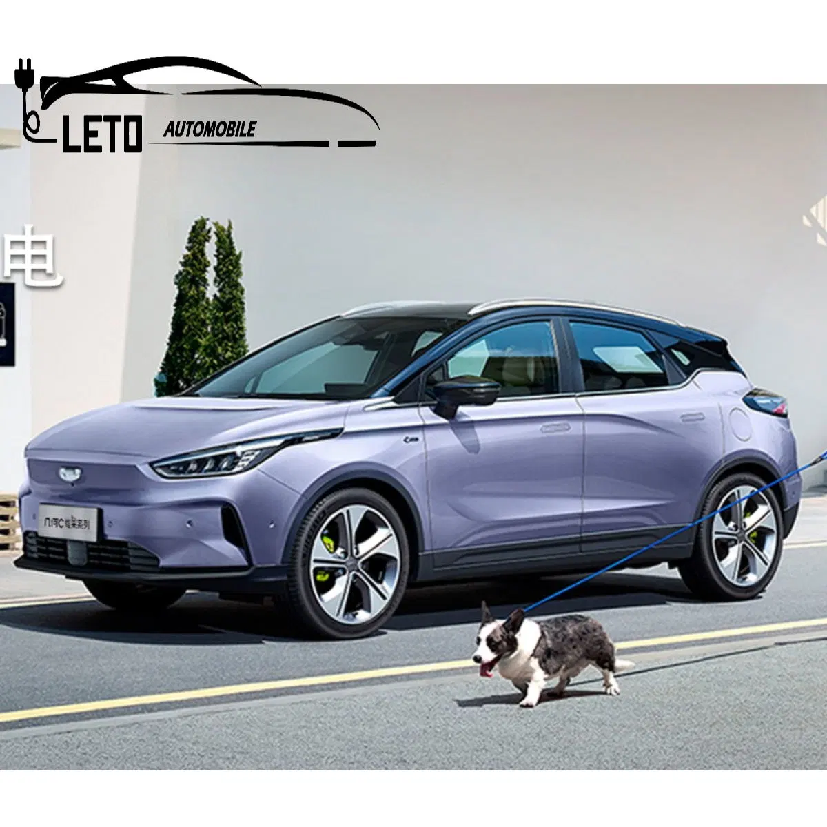 Geometrie C EV Neue Energie Fahrzeuge Sport Elektroautos Auto Lila Blue Long Range auf Lager Elektroauto