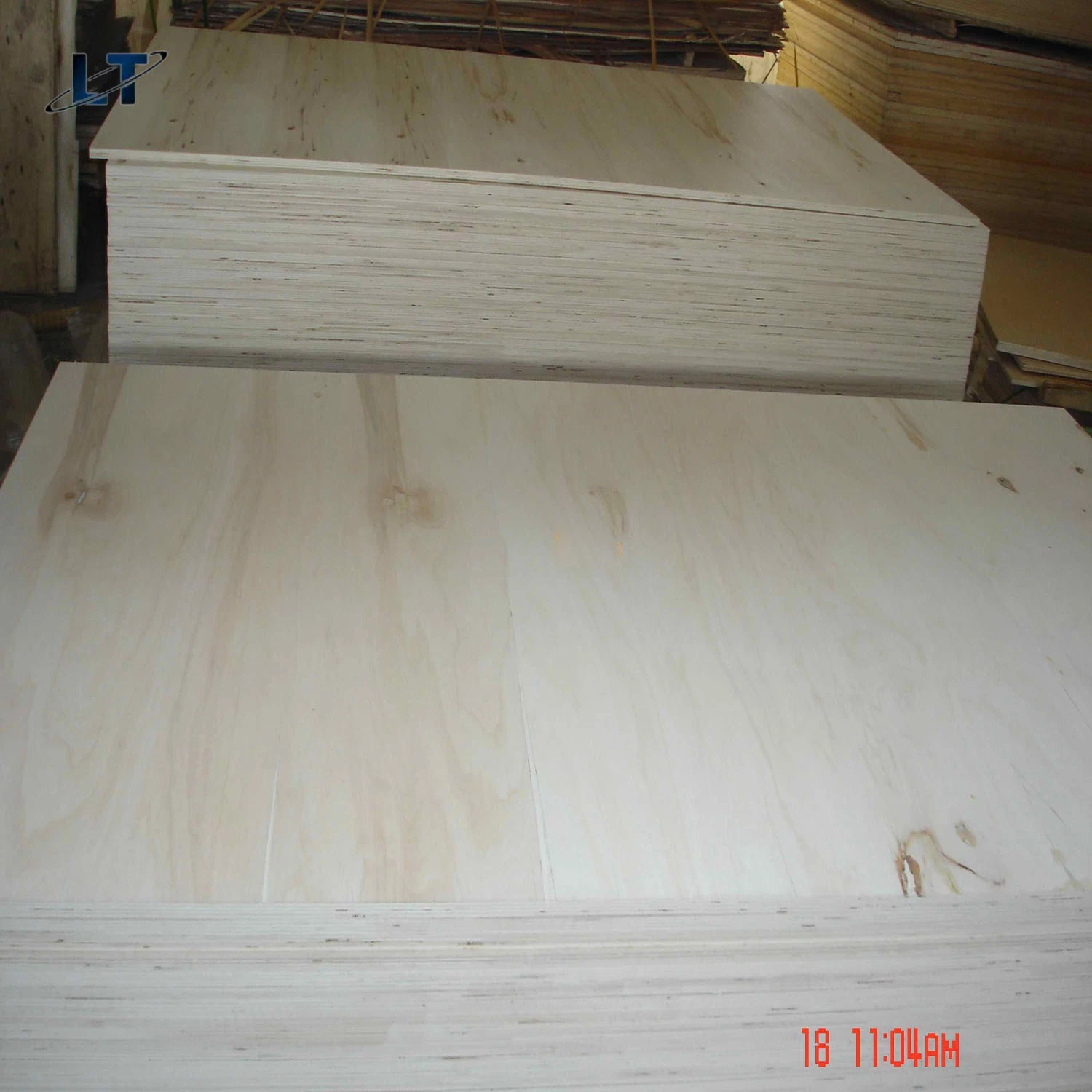 Contraplacado Poplar de alta qualidade Poplar/Birch/Pine/face de película/contraplacado Okoume utilizado para mobiliário/Container