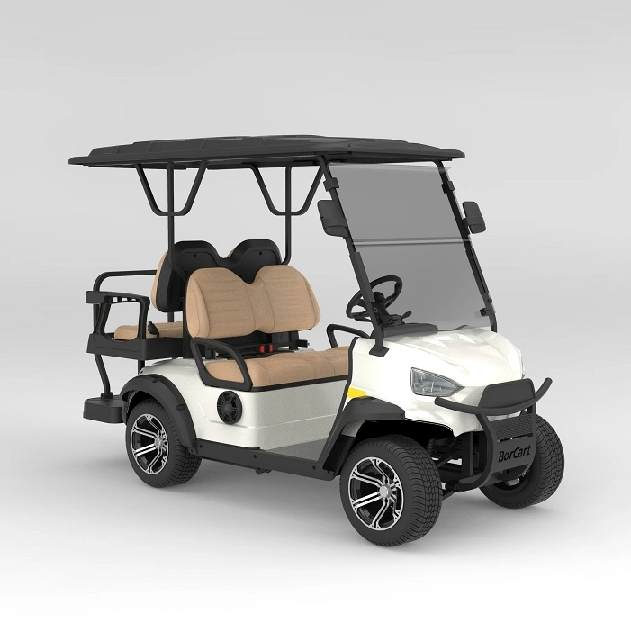 Подходящий Цена 48V Аккумуляторная батарея Powered Golf Electric Buggy Classic Car