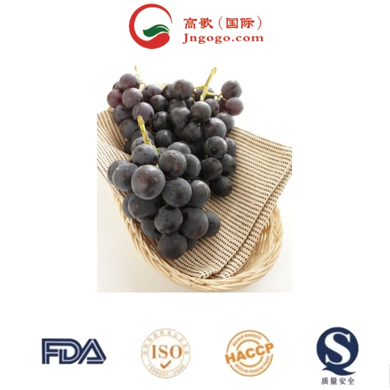 Export Superior Seedless Fruits Grapes Fresh Red Globe Seedless Grapes 2022