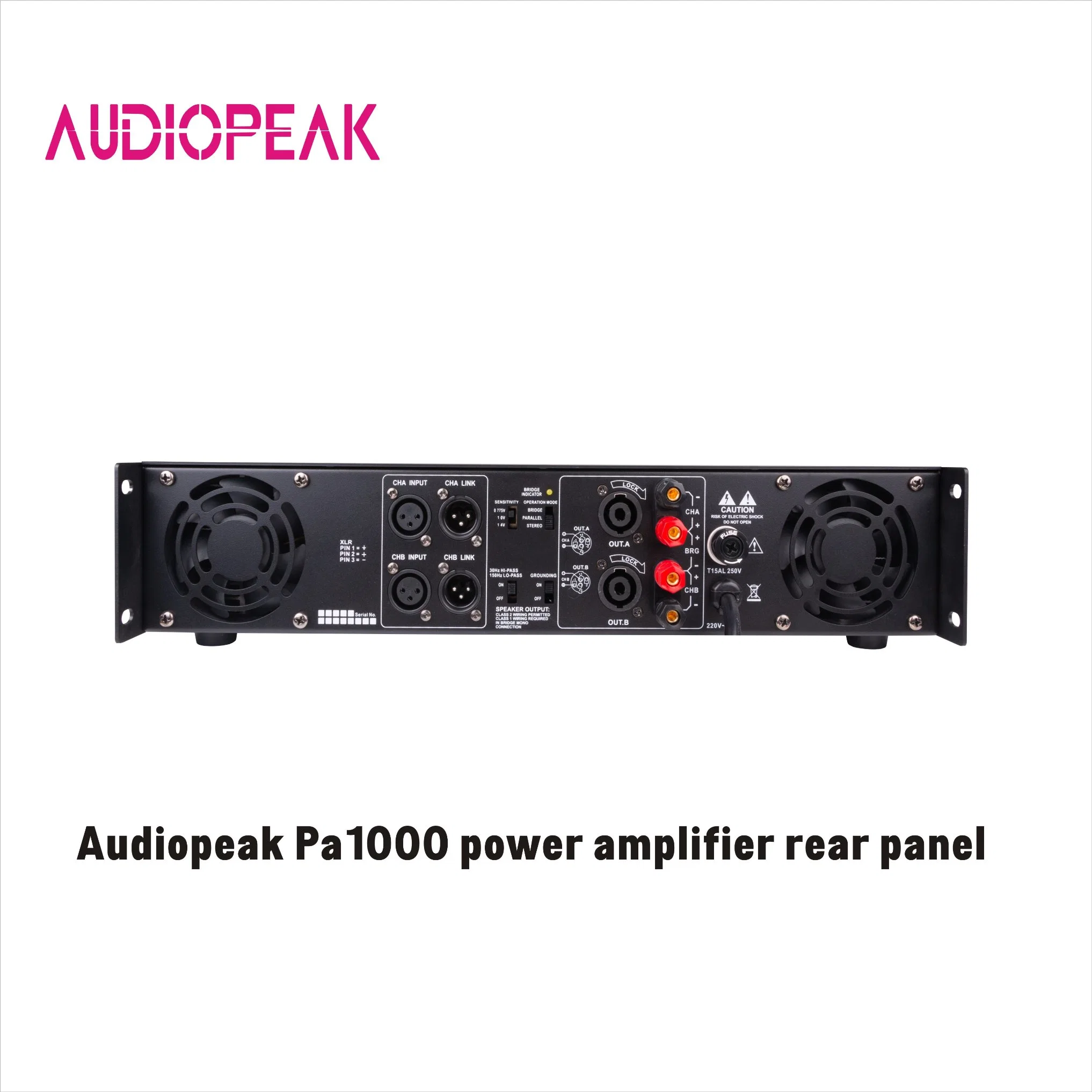 PA1000 Affortable Audiopeak amplificador de potencia de 2 canales para instalación fija