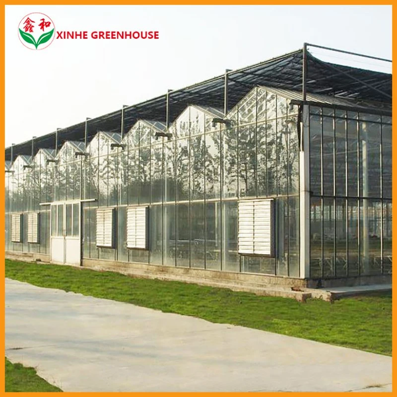 Casa caliente Horticultura Multi Span Agrícola invernadero inteligente con hidropónicos Sistema