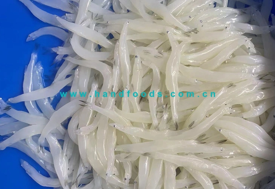 Good Quality of Healthy Seafood of Silverfish 1kg with Plastic Bag or Retail Paper Boxes