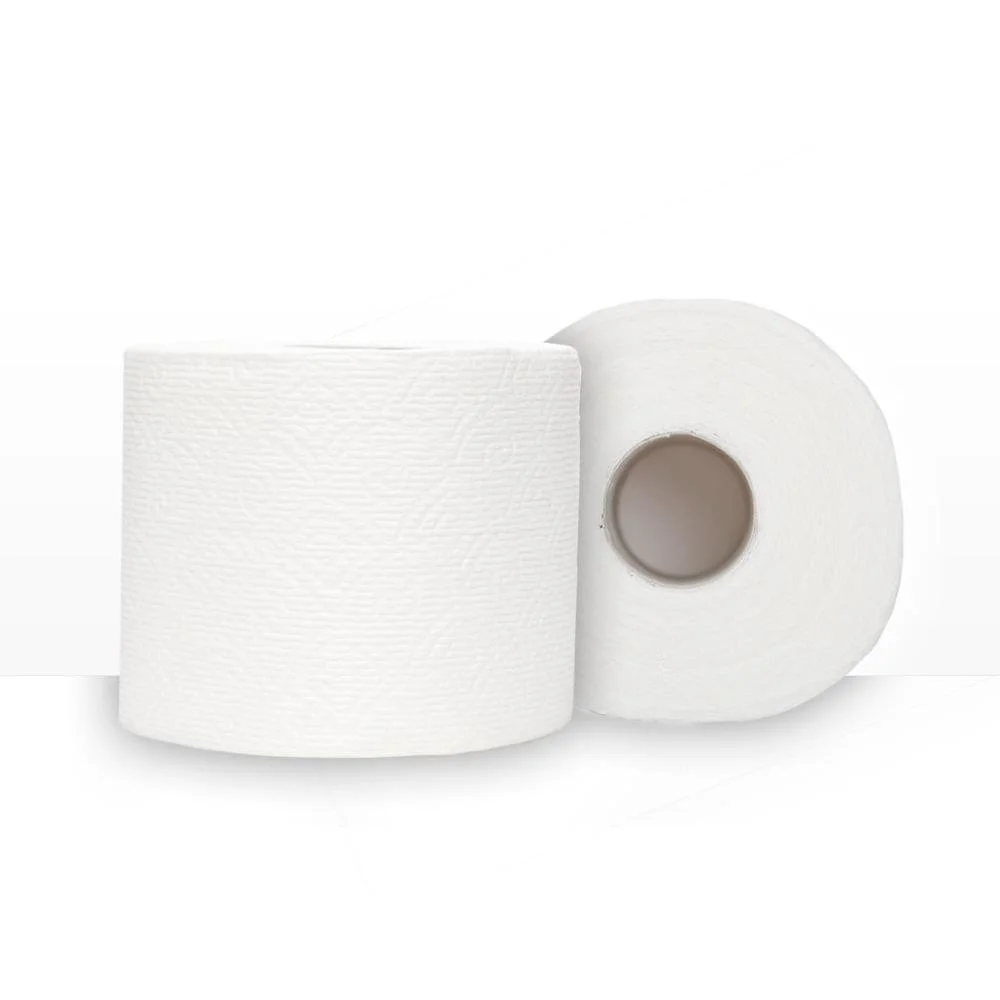 Top Seller Cheap 2-Ply Toilet Paper Bath Tissue