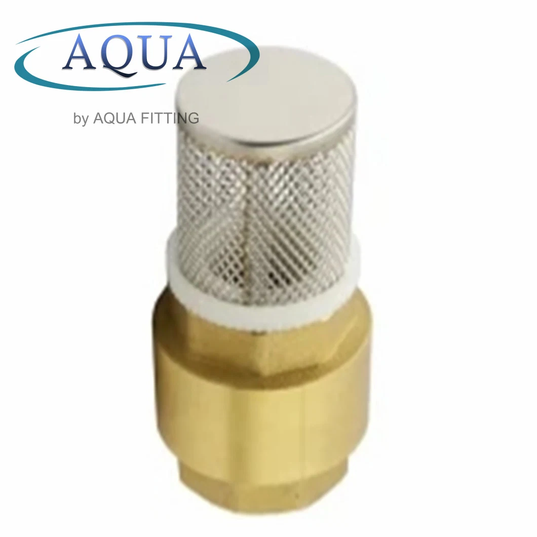 Brass with Mesh Check Valve Stainless Steel Web Filter Mesh