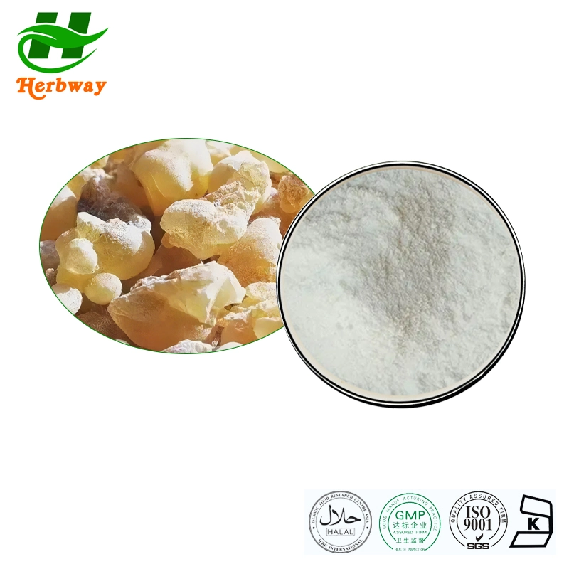 Plant Extract Free Sample Boswellia Carterii Powder Boswellia Serrata Extract 65%Boswellic Acid