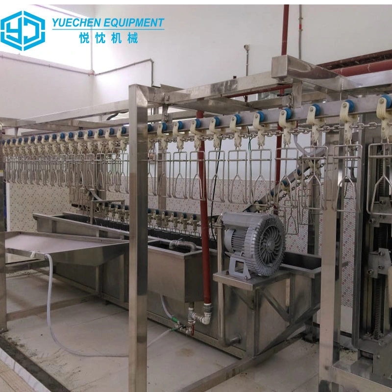 200-1000bph Intelligent Compact Chicken Slaughtering Equipment Line Broiler Meat Processing Machine