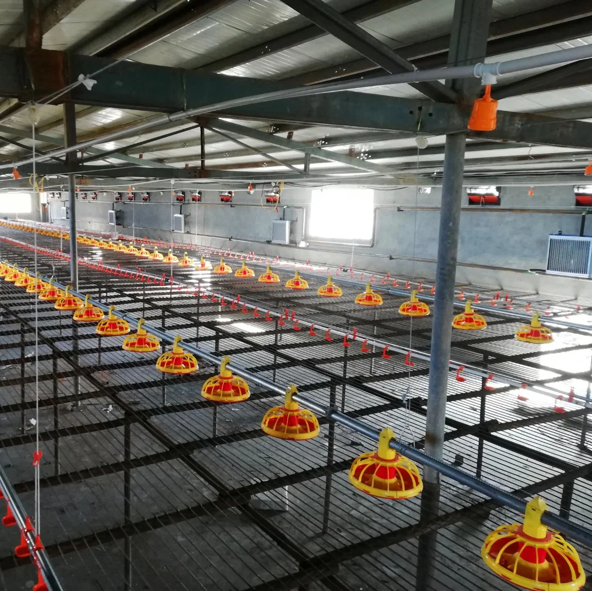 Full-Automatic Prefab Steel Poultry Farming Building for Broiler Breeder Chicken