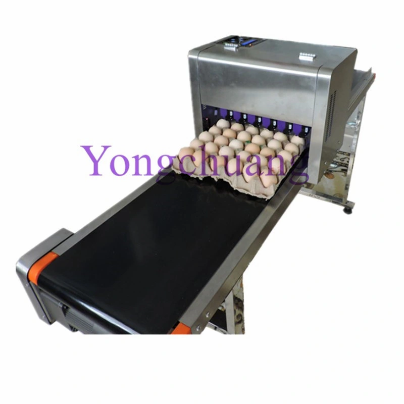 High quality/High cost performance Egg Inkjet Printer with 6 Nozzles and Conveyor