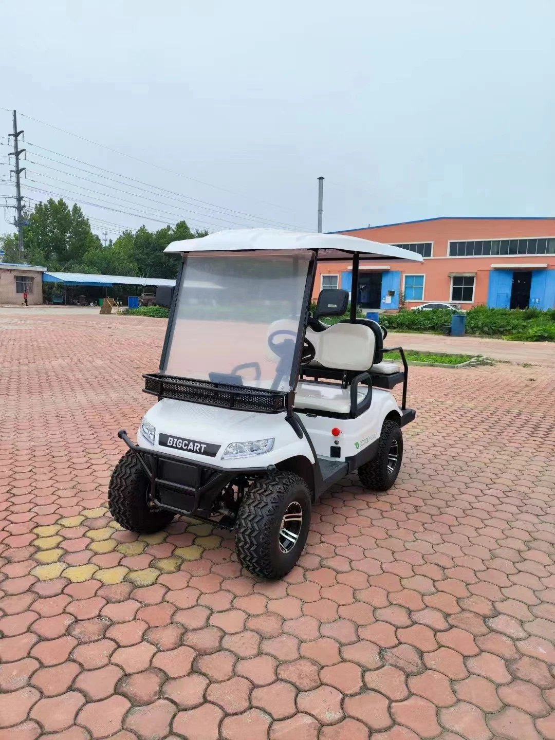 سيارة جولف رخيصة 2+2 seater Wheel Electric Buggy للبيع