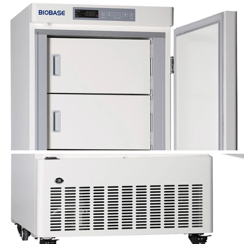 Biobase 318L 400L Low Temperature Cheap Price Laboratory Freezer for Lab