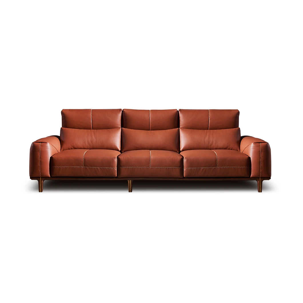 Luxury Executive новый дом современной мебелью в гостиной зоне регистрации цельной древесины диван