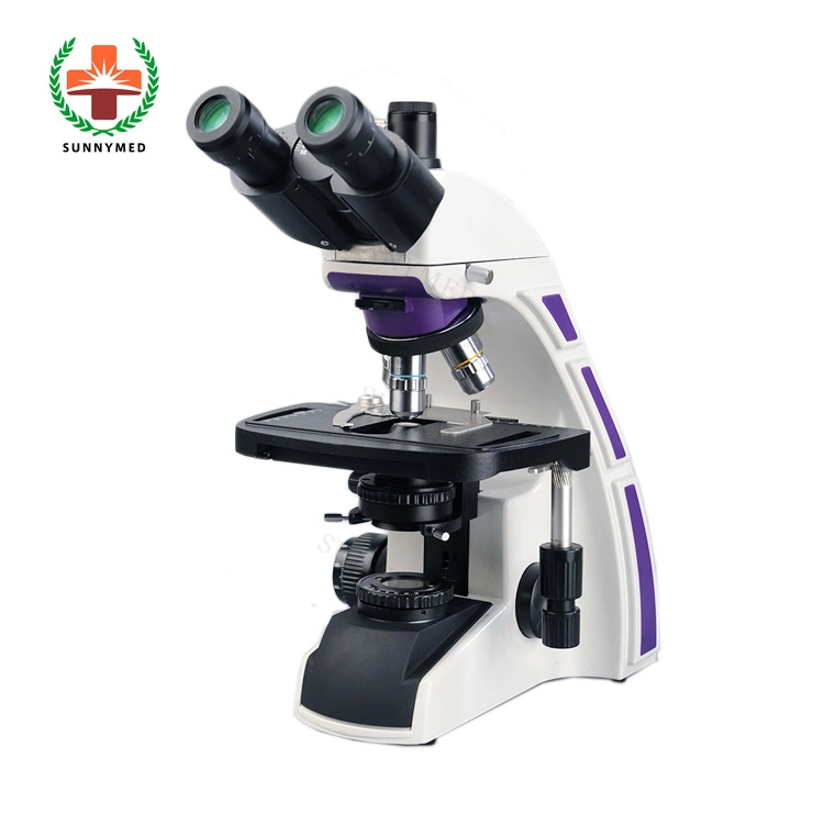 Sy-B129t Lab Hospital Digital LCD Display Screen Binocular Microscope for Sale