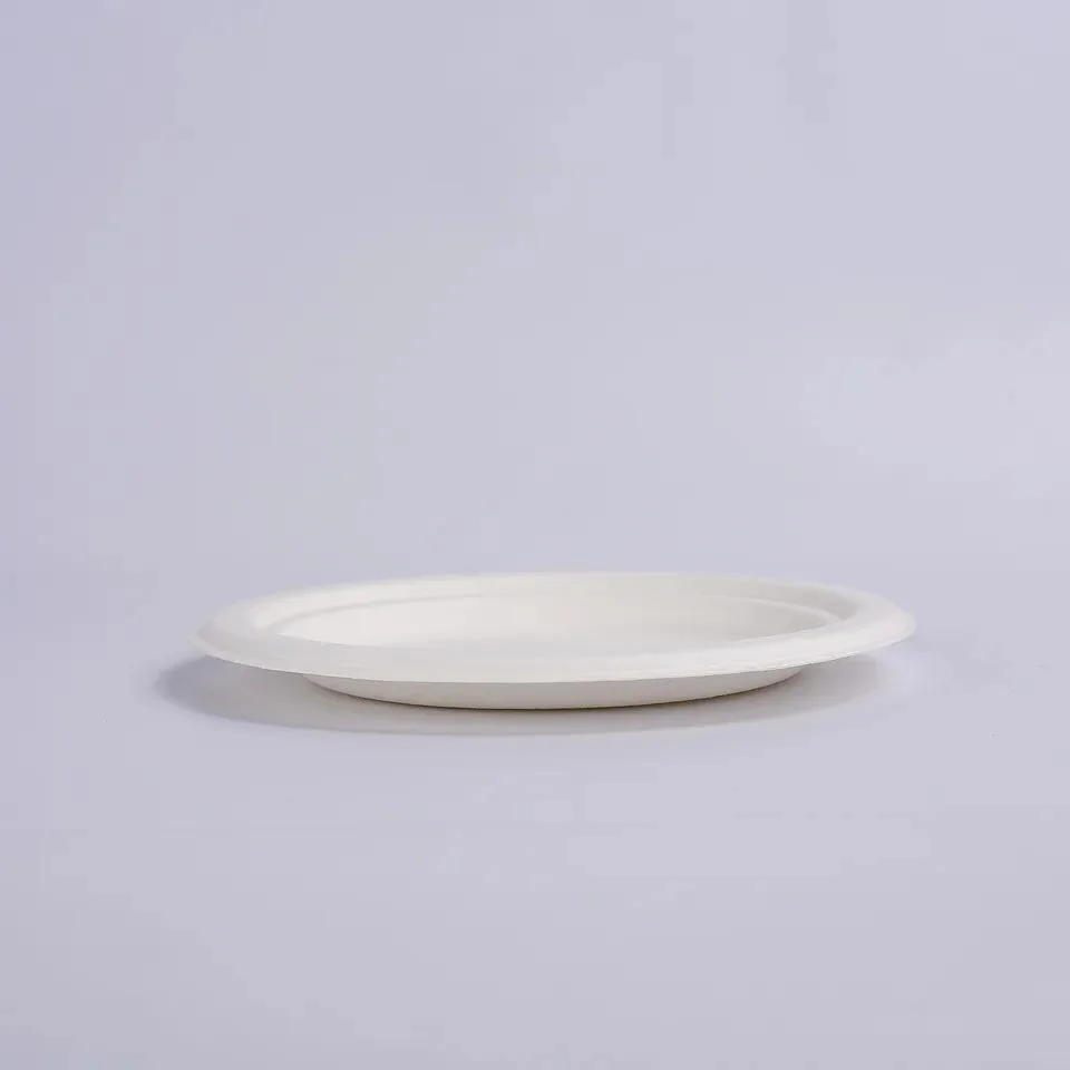 Bagasse 6.75" Plate Biodegradable Disposable Dishes