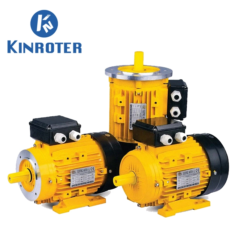 Ms Series Three-Phase Asynchronous Motor with IEC Standard