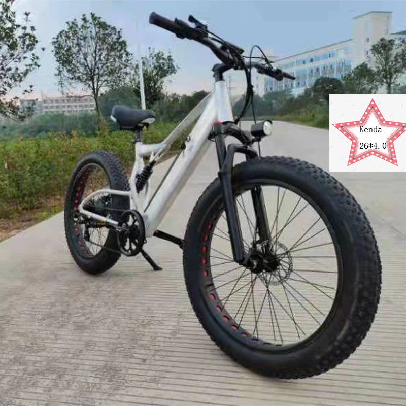 Fábrica de China OEM 500W 26er Motor sin escobillas bicicleta eléctrica biciletta