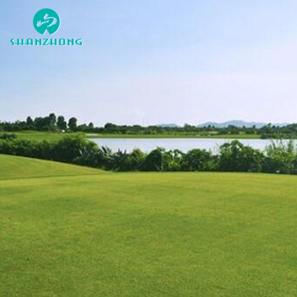 Un excellent Drainage, durable et de belles Mini Équipement de golf