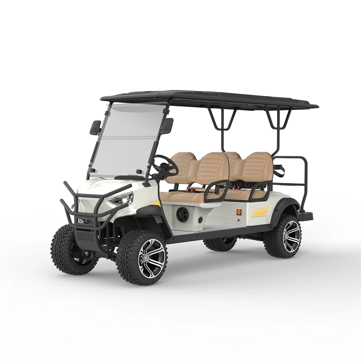 La Chine Electric voiturette de golf Beach tour sightseeing ferme de la chasse Panier