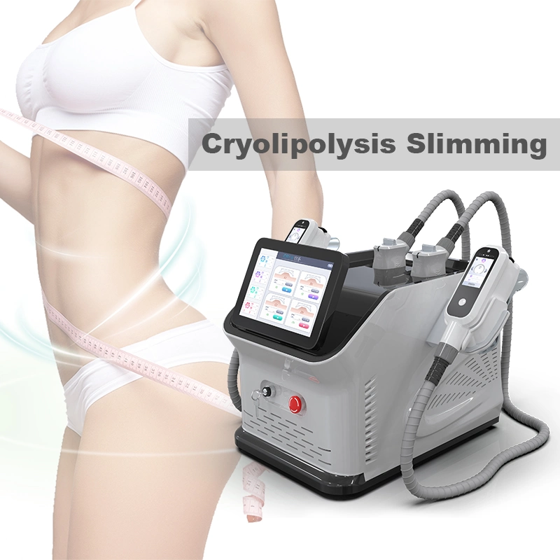 La grasa de congelación de precios de la máquina Fabricante Cryo lipólisis Inicio Cryolipolysis cavitación Body máquina compacta