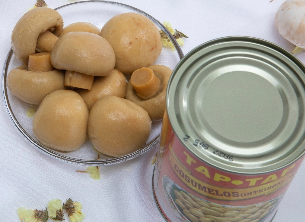 Hot Sale Canned Mushroom Whole 185g*24/CTN