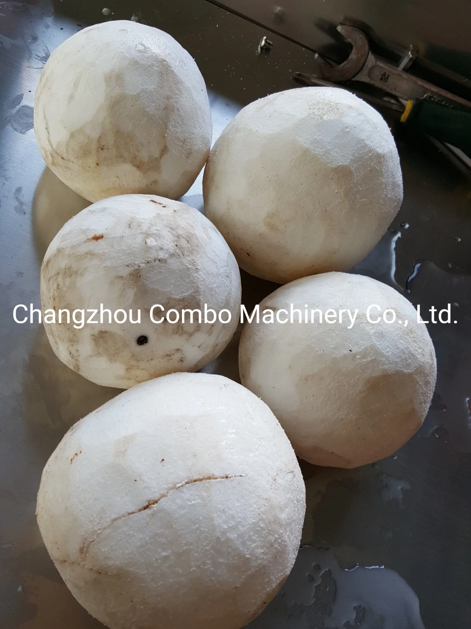 Coconut Kernel Peeling Peeler Machinery