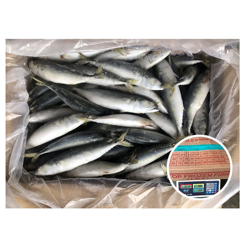 Gefrorener Makrele Pacific Cheap Price 80-100g IQF Frozen