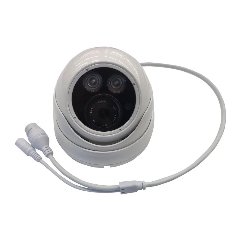 800TV Lines High Speed Dome Security Camera with CE FCC RoHS Certificates