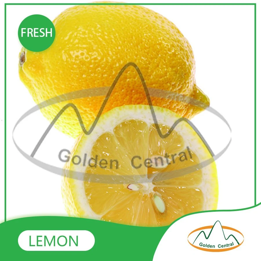 Wholese High quality/High cost performance  New Harvest Fresh Seedless Lime Lemon