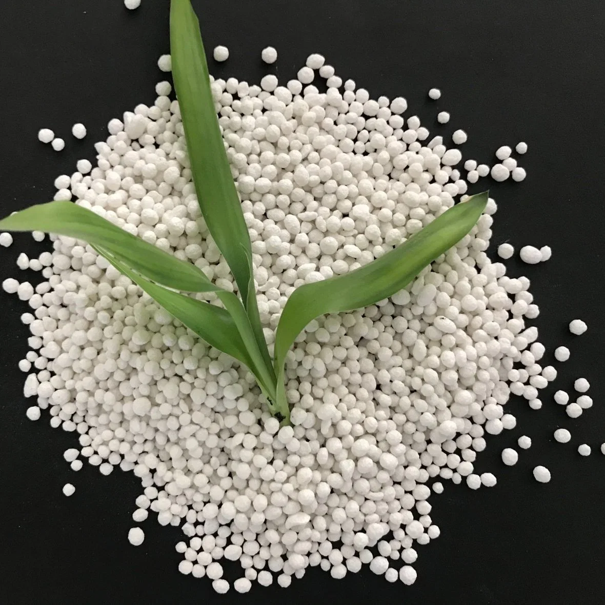 NPK Granular Fertilizer NPK 14-23-14, NPK 17-17-17 Price Custom NPK Compound Fertilizer