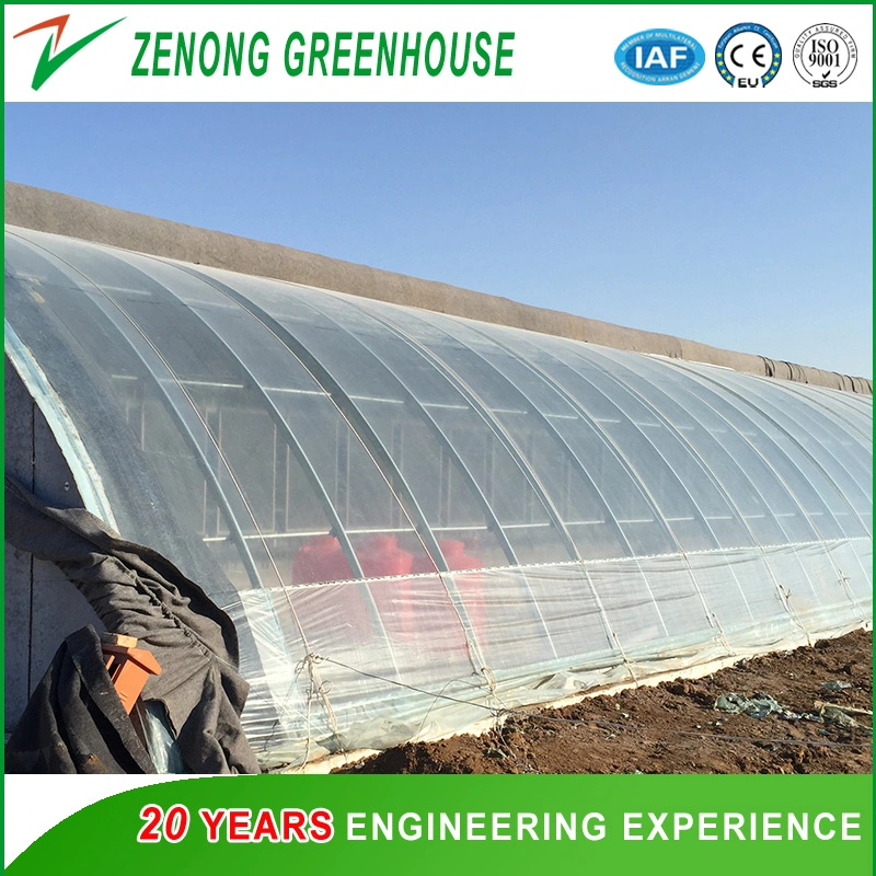 Hot Sale UV Coated Po Film Covered Solar Greenhouse with Favorable Price