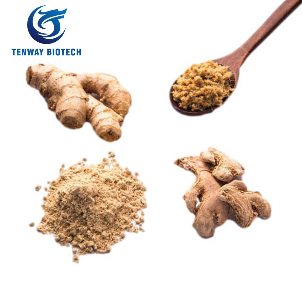 High Quality Food Ingredient Herbal Extract Food Ingredient Raw Ginger Powder