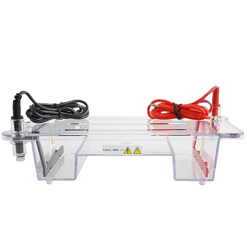 Mini Protein Electrophoresis Tank