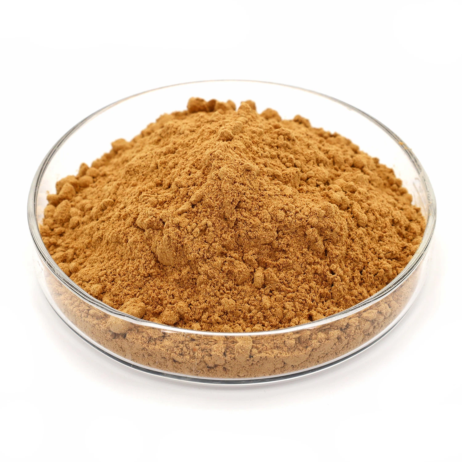 Factory Supply Forsythin 1% Forsythia Suspensa Fruit Extract