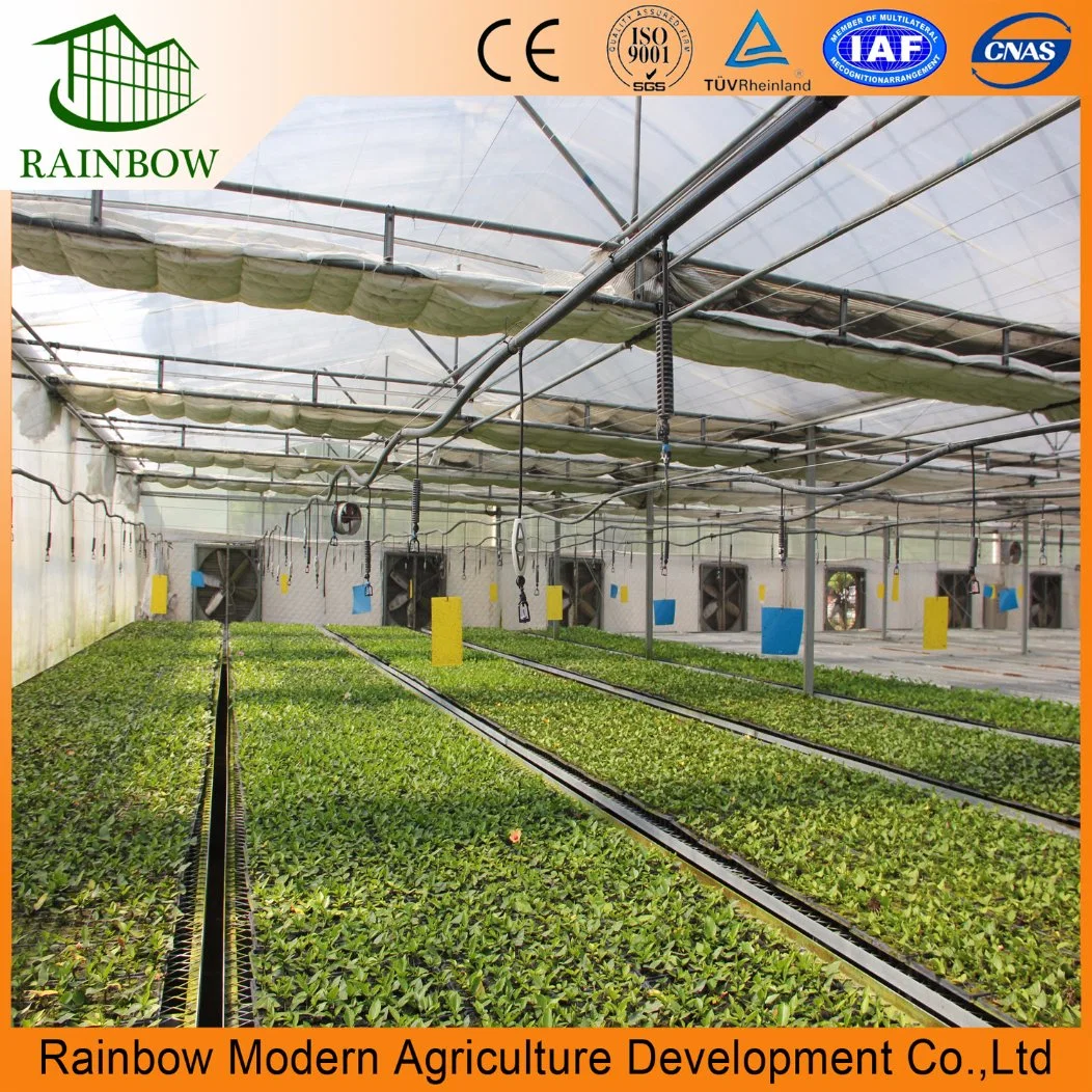 Multi-Span Poly Tunnel Film Greenhouse with Cooling System