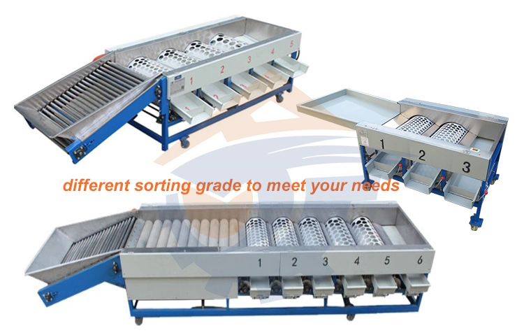 Apple Orange Sorting Tomato Fruit Sorting Machine