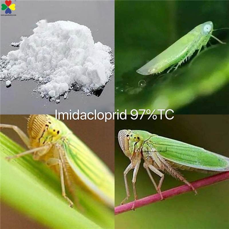 Agrochemical Imidacloprid 97%Tc Tech for Pests CAS 105827-78-9