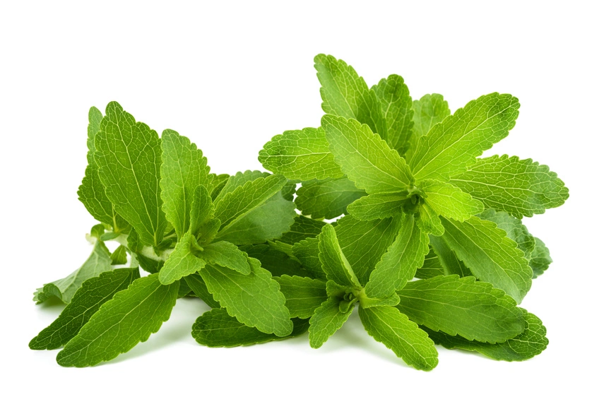 Stevia Natural 100% Pura ra del 97% de azúcar en la Stevia El 95% 99% de extracto en polvo edulcorante