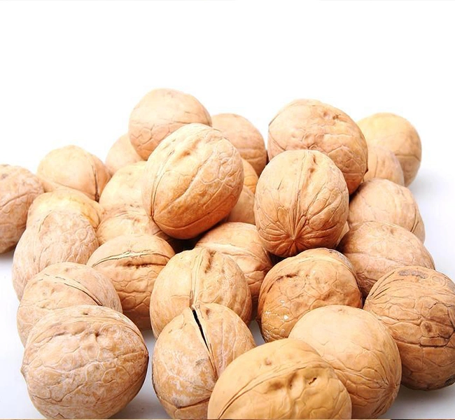 Chinese Dried Fruit Price Paper Shell Walnut in The Shell for Buyers and Importers