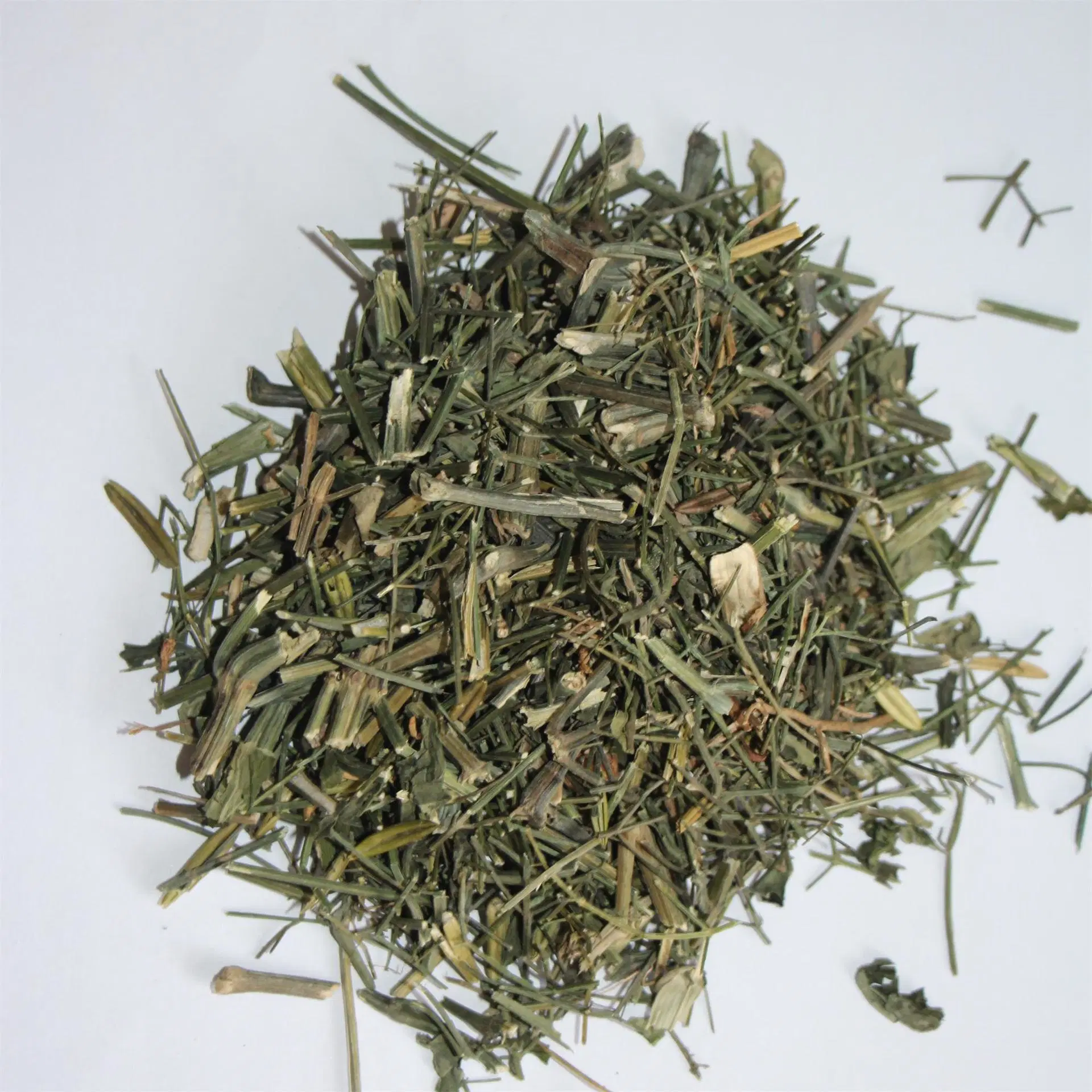 Vente en gros 100% Organic Natural Herbs Cut Andrographis paniculata Andrographis