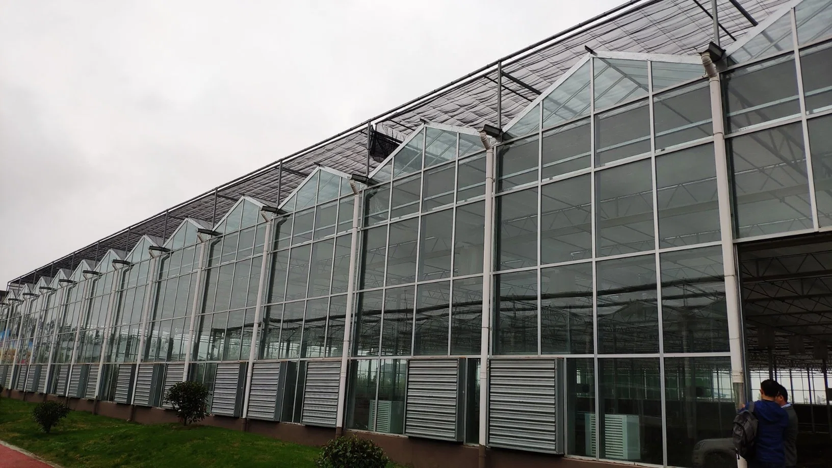 Moderne Landwirtschaft Mehrspan-Glasgewächshaus mit Hydroponics System Bewässerung System für Gemüse Obst Blumen Heidelbeer Gemüse