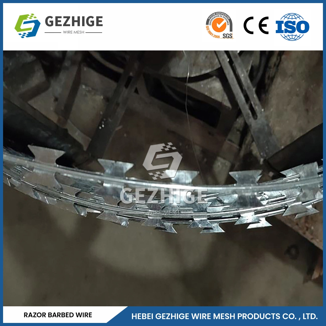 Gezhige Residential Barbed Wire Wholesale/Supplierr 60mm Needle Spacing Cross Type Razor Wire China 5mm Diameter Steel Razor Wire